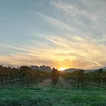 Bed and breakfast Domaine La Sauzette Cazilhac (Aude)