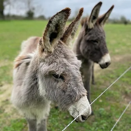 Domaine La Sauzette 3*