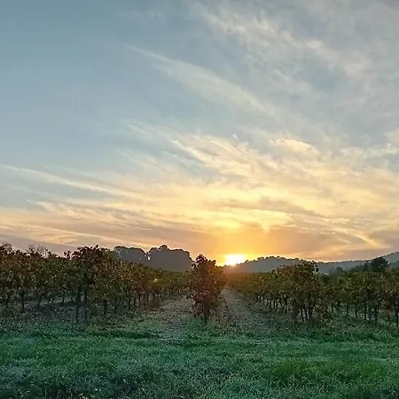 Alojamento de Acomodação e Pequeno-almoço Domaine La Sauzette Cazilhac (Aude)