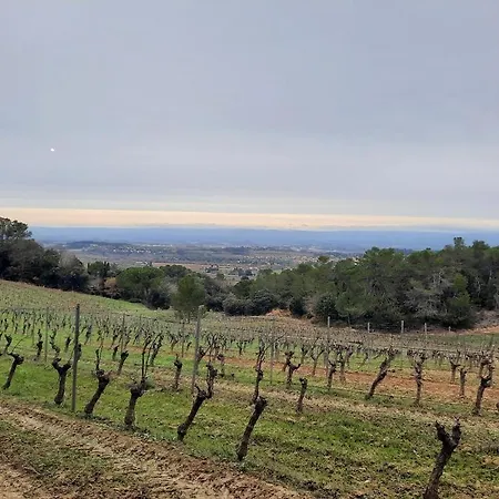 Domaine La Sauzette * Cazilhac (Aude)